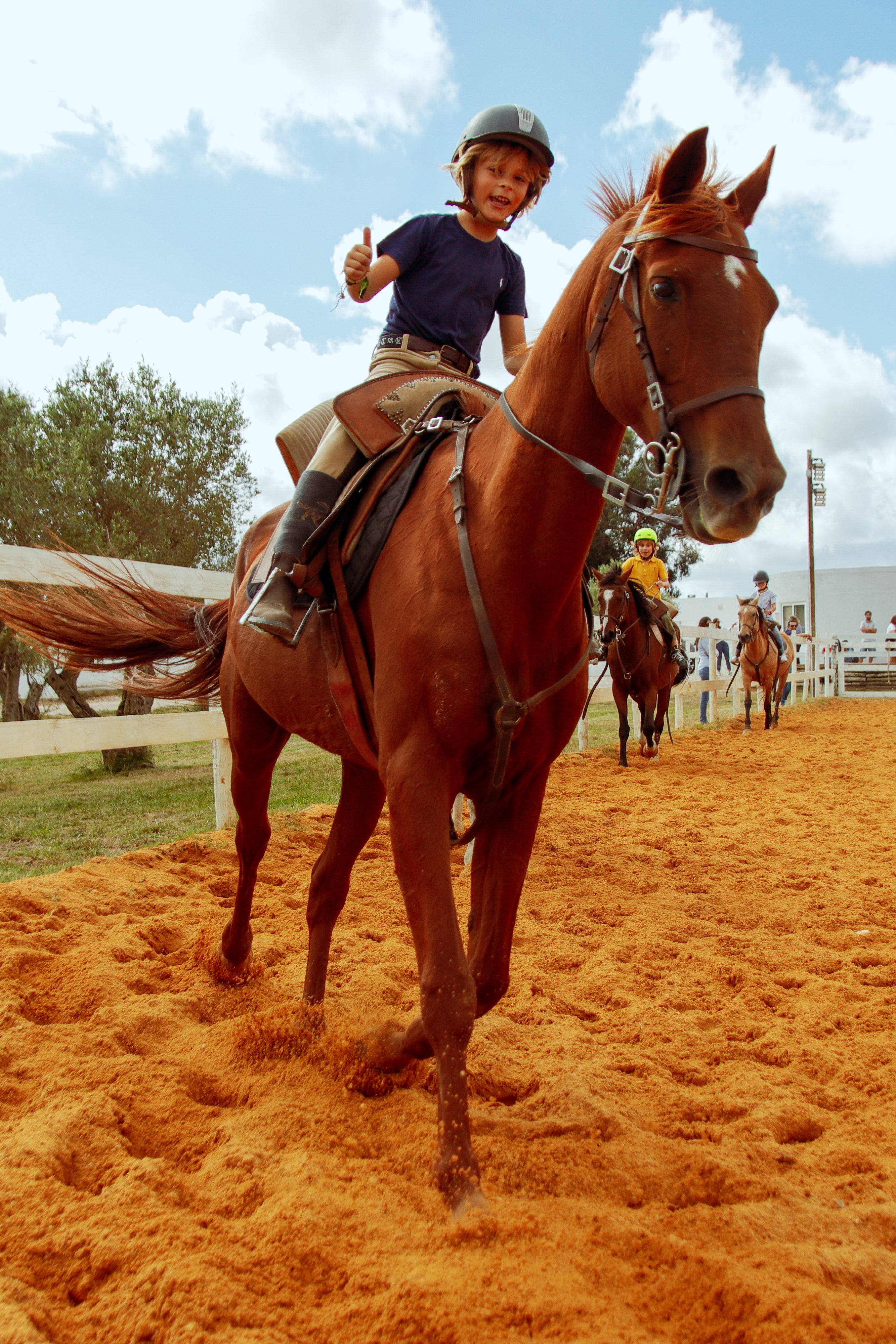 Caixa - Oferta • Jogo Cavalo em Linha + Batismo Equestre – Andar a cavalo